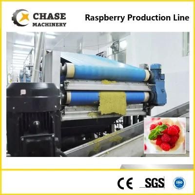 Juice Bottling/ Watermelon Jucie/ Juice Manufacturing Equipment