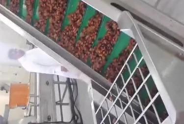 Automatic Palm Dates Syrup Production Line