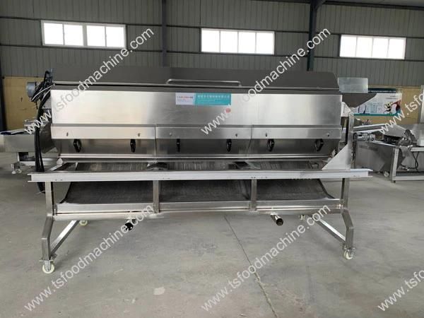Automatic Potato Washing Peeler Drum Ginger Washing Peeling Machine