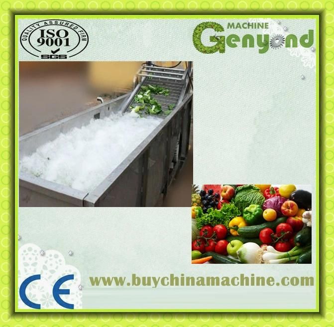 Shanghai Automatic Washing Machine for Vegetable Processing