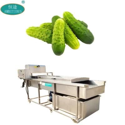 Automatic Brush Wash Machinery Commercial Vegetable Cucumber Washing Machine