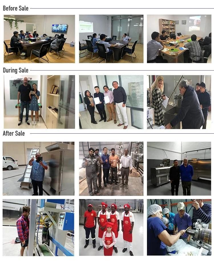 Full Automatic Hot Sell Cheese Ball Processing Machine