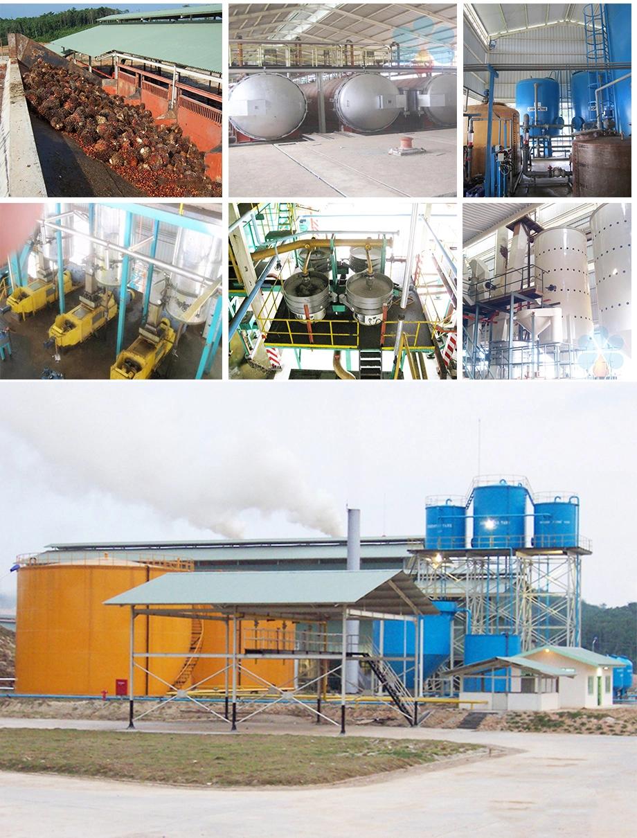 Thailand Palm Oil Mill Process Description Oil Equipment