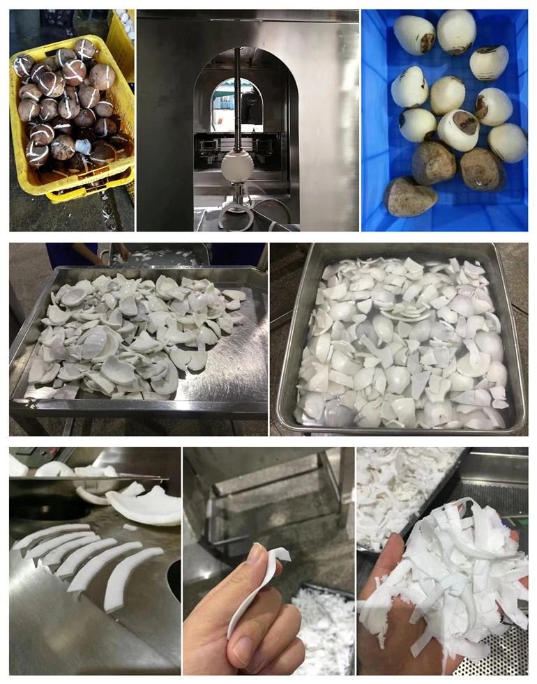 Top Quality Desiccated Coconut Production Line