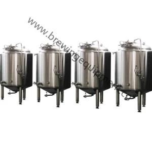 Hot Sale 300L 500L Stainless Steel Beer Fermenter for Sale