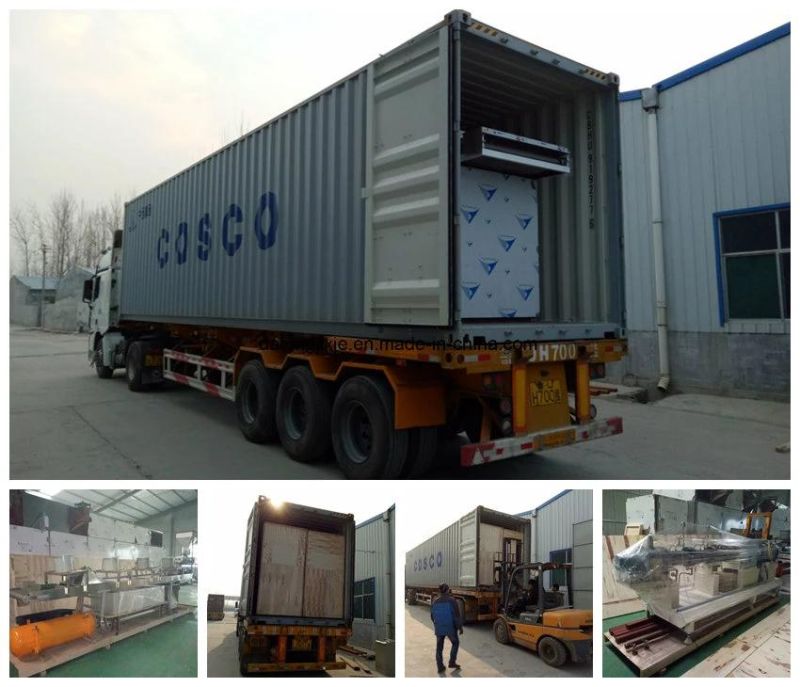 Hot Selling Automatic Pet Biscuit Production Line