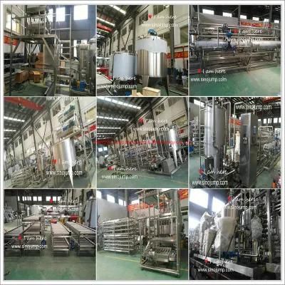Mango Paste Production Line for Aseptic Bag Package