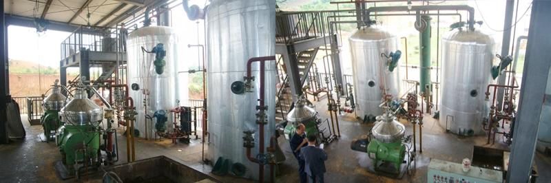 Biodiesel Oil Machine/Oil Making Machine