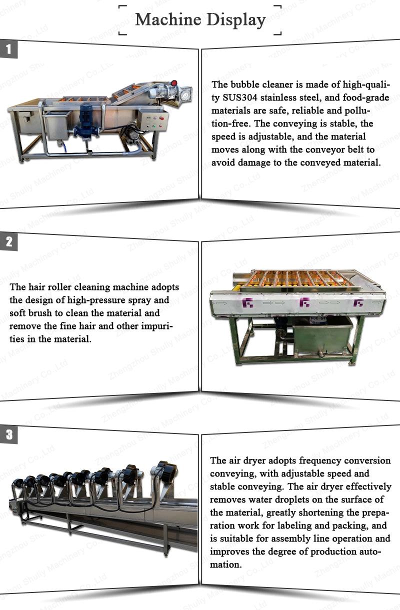 Vegetable Line Washing Fruit Washer Cleaning Processing Machine