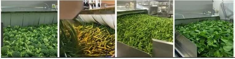 Green Pea Blanching Machine Pea Cooking Machine