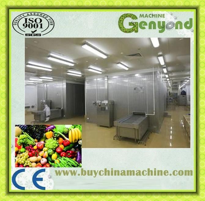 Clean Vegetables Fruit Production Line