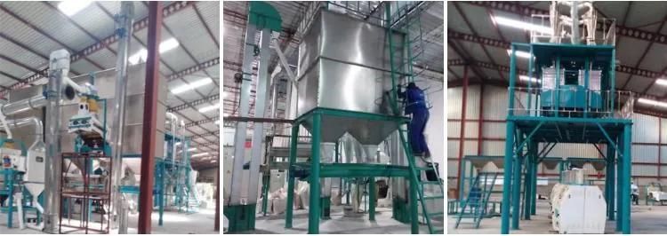 European Standard 50t/24h Maize Flour Mill Machine for Zambia Market