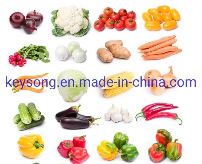 Plant Made Dehydration Machine for Fruits and Vegetables