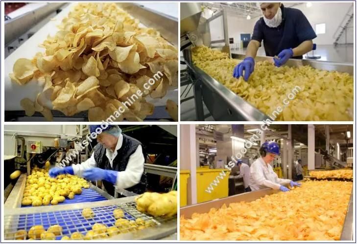 Potato Chips Yam Chips Banana Chips and Cassava Chips Processing Line