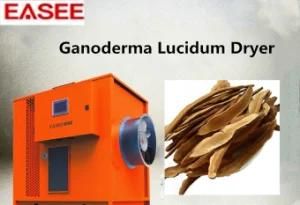 Stainless Steel Wood Drying Machine Equipment for Ganoderma Dryer