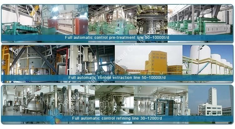 Supplying Sesame Oil Extraction Machine