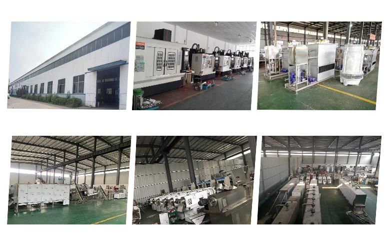 Full Automatic Hot Sell Cheese Ball Processing Machine