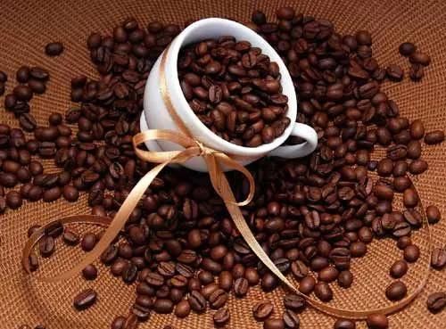 Sg Multi-Function Handmade Chocolate Tempering Machine