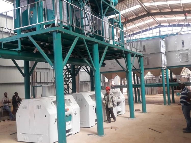 70t/24h Corn Grinder Corn Milling Machine in Kinshasa Dr Congo