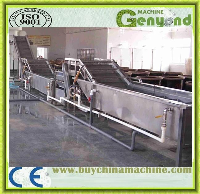 Bubble Cleaning Type Guava Washing Machines