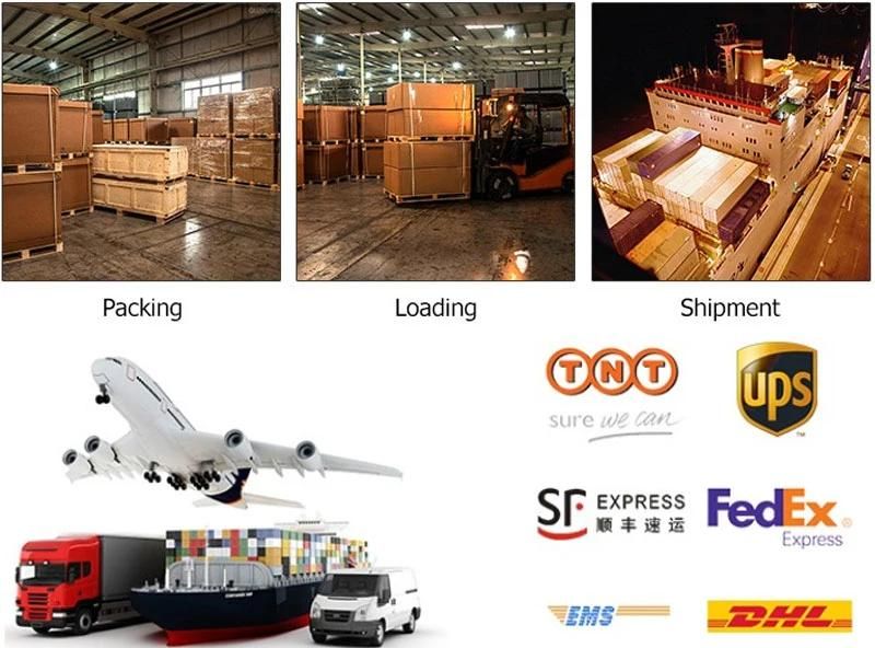 Chinese Suppliers Belt Tunnel Drying Machine for Fruits and Vegetables