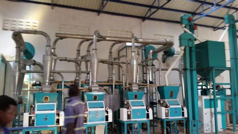 20t Flour Milling Machine for Maize From China