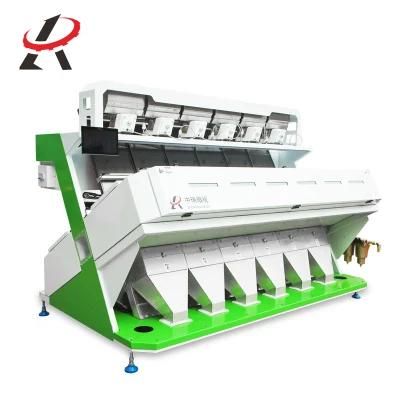 Canola Color Sorter Manufacturer