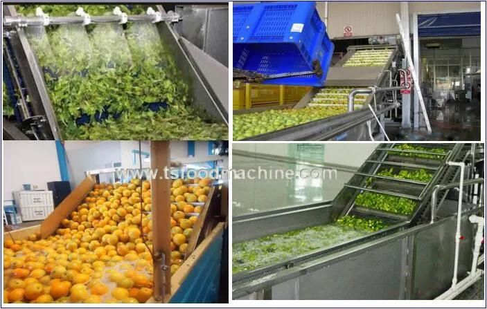 Automatic Air Bubble Cleaning Fruit and Vegetable Washing Machine Bubble Washer