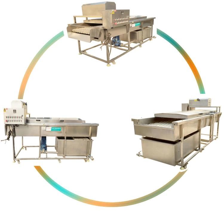 Brush Fruits Washing Cleaning Machinery Automatic Apple Washer Machine