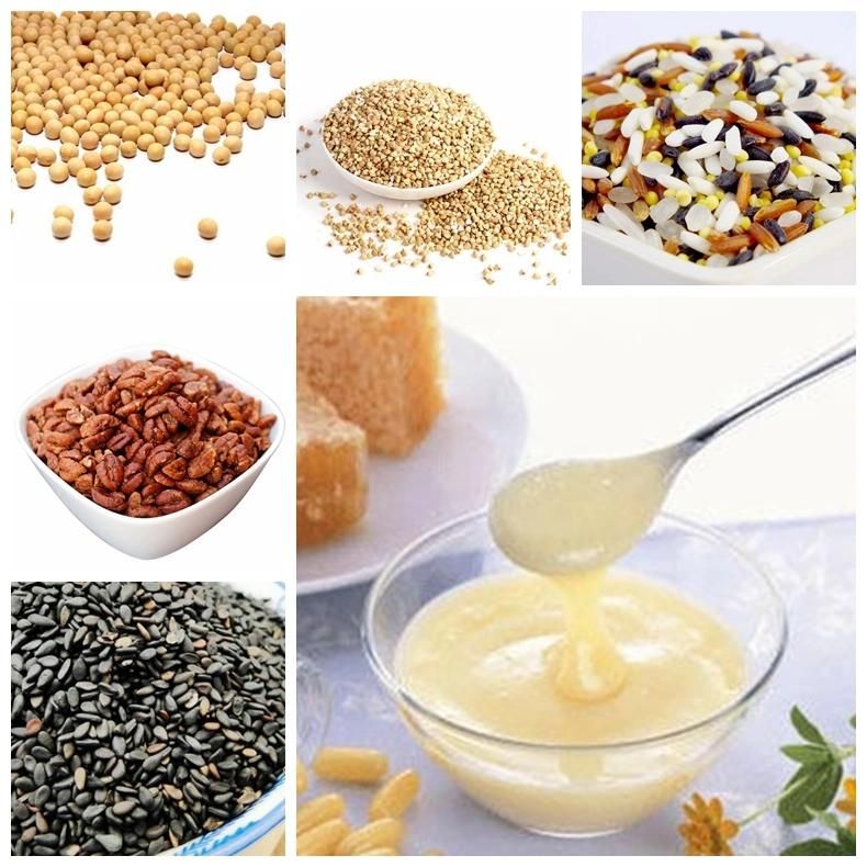 Stainless Steel Industrial Nutrition Powder Processing Machine