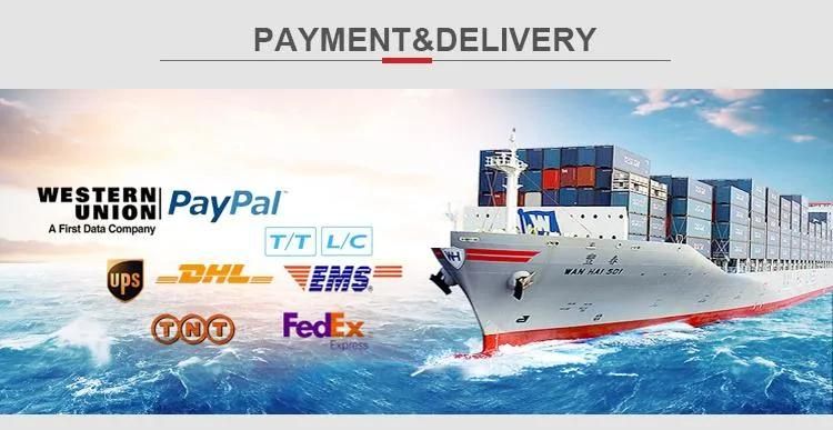 Industrial Twin Screw Extruder Pet Dog Cat Food Making Machine