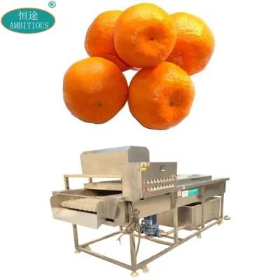 Iudustrial Brush Washing Equipment Fruits Cleaning Citrus Washer Machine