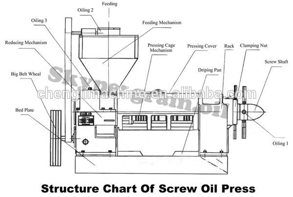 Chengli Machinery Black Seeds Oil Press Machine Olive Oil Pressing Machine for Sale