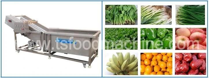 Automatic Continuous Conveyor Red Chilli and Pepper Washing Machine