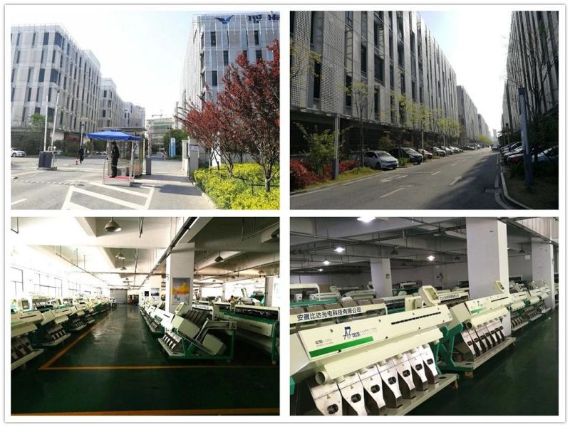 High Capacity Cleaning Equipment Raisin Processing Color Sorter Machine