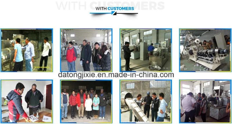 Automatic Twin Screw Dry Dog Feed Pellet Processing Equipment