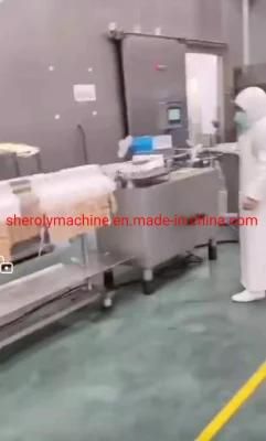 Meat Processing Equipment Machine Making Sausage