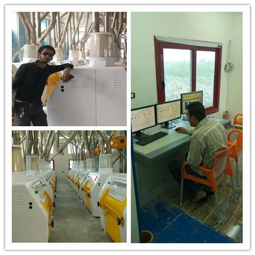 Small Scale and Middle Capacity Wheat Flour Mill
