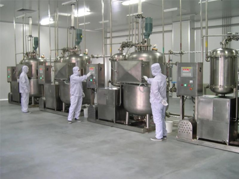 SS304 Vegetables Frying Line/Fried Fruits Machinery with Great Reputation for Sale