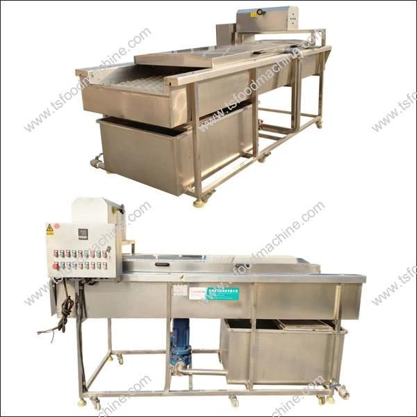 Fruit and Vegetable Washing Cleaning Machine Cucumber Washer
