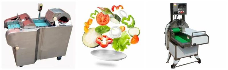 High Quality Dehydrated Vegetable Processing Dried Fruit Production Line
