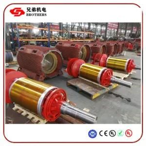 Cement Mixing with Three Phase AC High Power Electric Motor