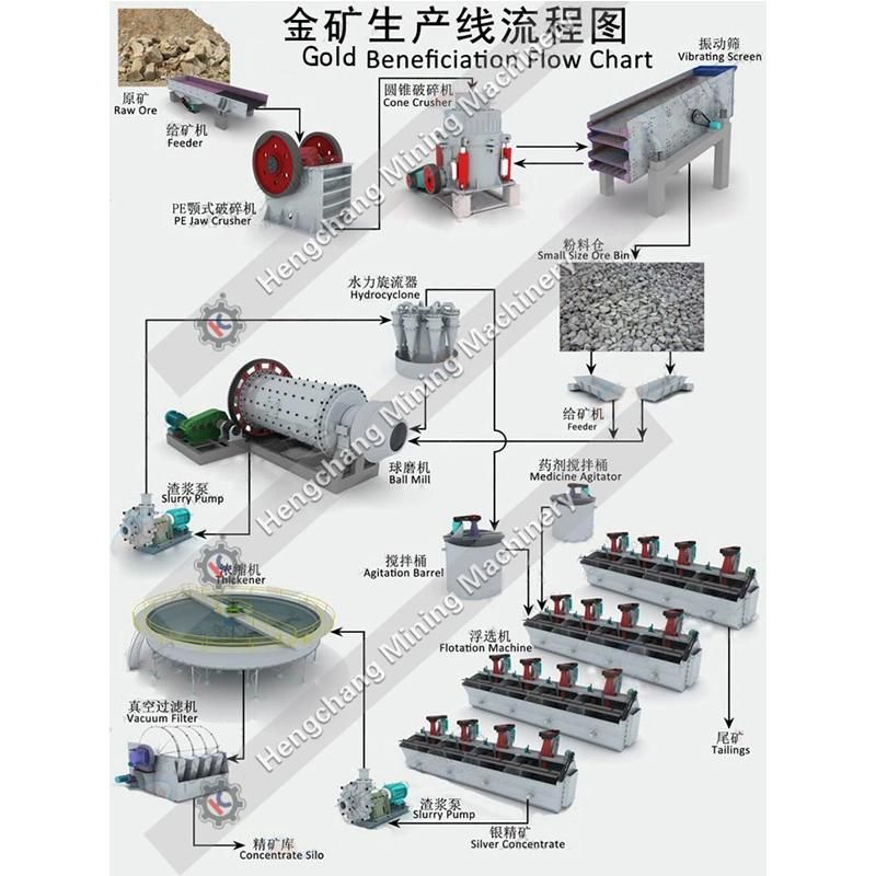 Flotation Machine for Molybdenum Ore Flotation Mineral Processing Plant Flowchart