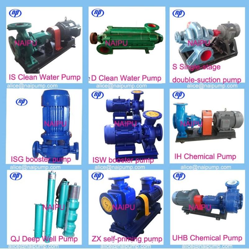 Naipu Mine Dewatering Slurry Pump 100zj 500m3 30m with Motor