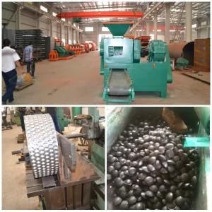 Good Service of Coal/Carbon/Briquette Ball Press Manufacture