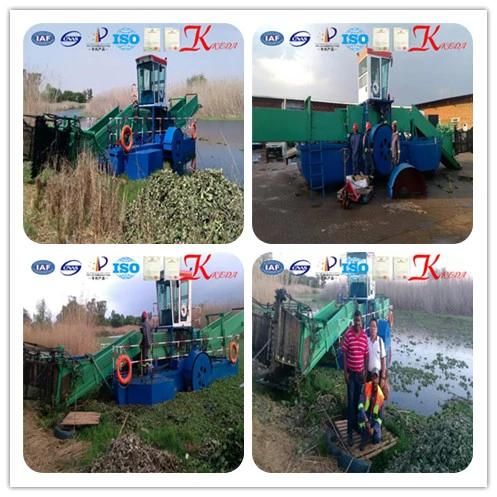 Entermorpha/Blue-Green Algae Salvage Boat