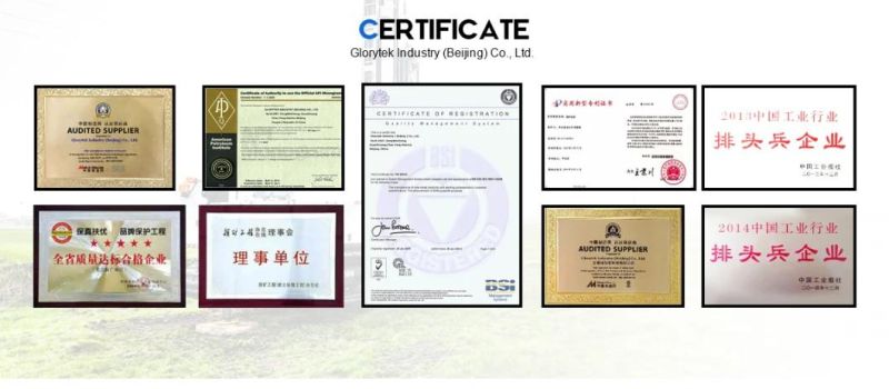 Top Quality Supplier Oil Drilling Tools/Downhole Motor Best Factory Price