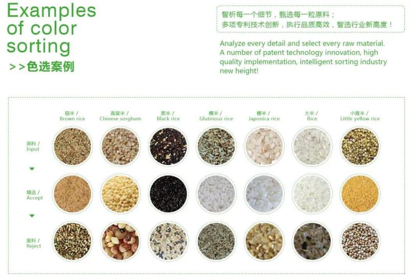 Talc Lumps Color Separator for Ore Color Sorting Processing Equipment