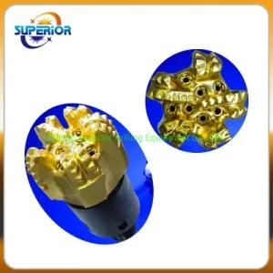 19mm Sized Cutters 9 1/2 Inch Matrix PDC Drill Bit