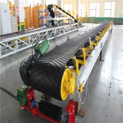 Custom Angle Telescopic Conveyor with Precise Mtorized Conveying System